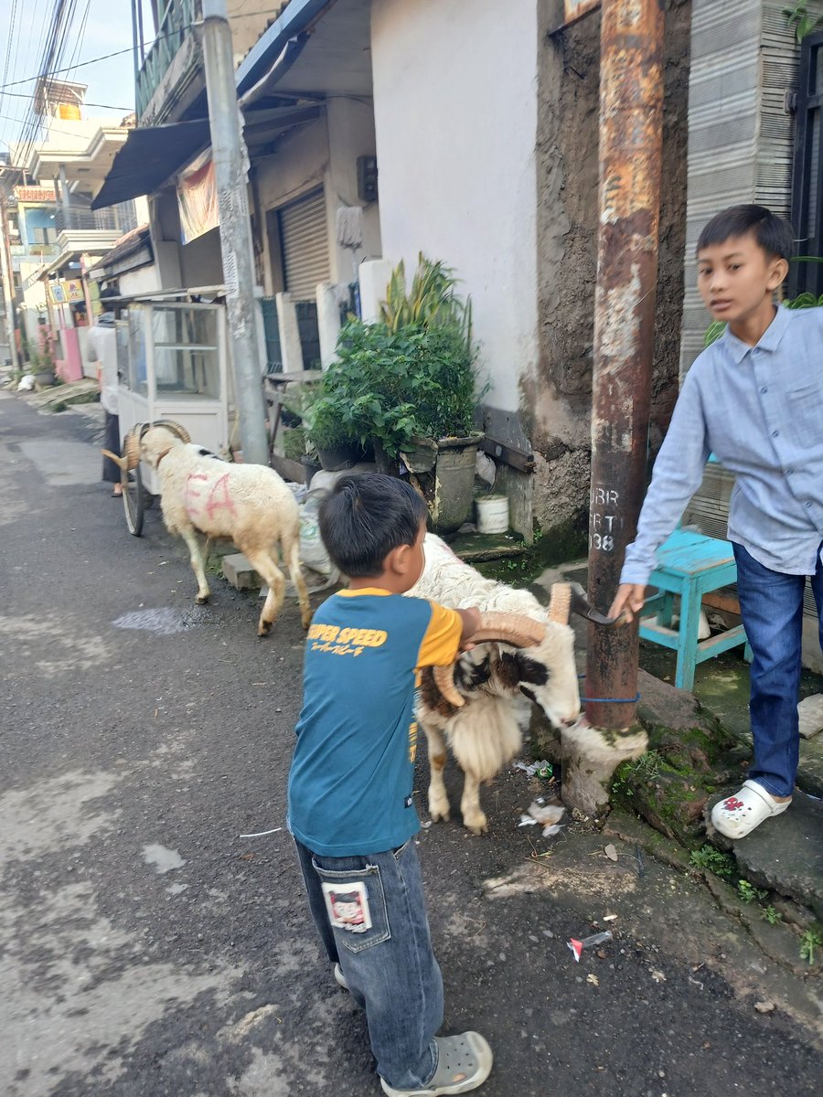 arsyintn's tweet photo. Adem bgt vibesnya https://t.co/x50t55ACuT