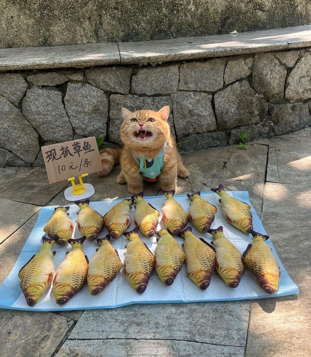 eat5G's tweet photo. Very very good, One pound fish🗣️ https://t.co/77ub26ThYj