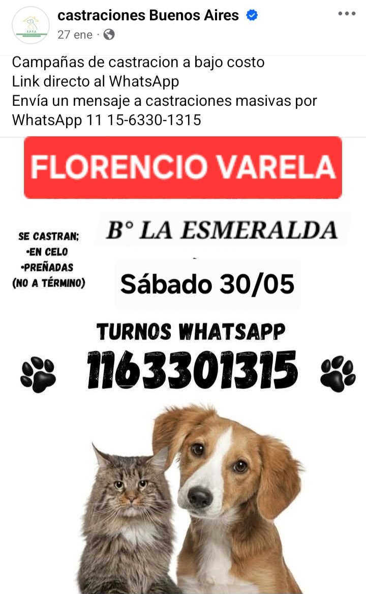 protegealanimal's tweet photo. FLORENCIO VARELA
#FLORENCIOVARELA #VARELA #FCIOVARELA #VILLASANTAROSA #BOSQUESNORTE #GDORJULIOACOSTA #ZEBALLOS #DONORIONE #BOSQUES #DANTEARDIGÓ #LOMASDEMONTEVERDE #VATTEONE #KM26 #BERRAYMUNDO #VILLABROWN #ALPINO #SANLUIS #ALLAN #LACAPILLA #ZONASUR #GRANBSAS #BSAS #CONURBANO https://t.co/cs4EYFB3hR