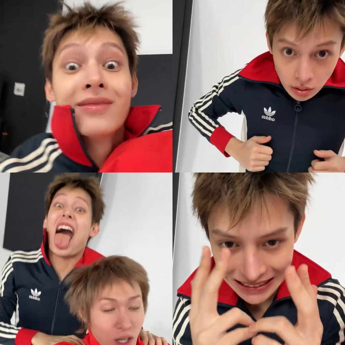 dailyjames tweet media