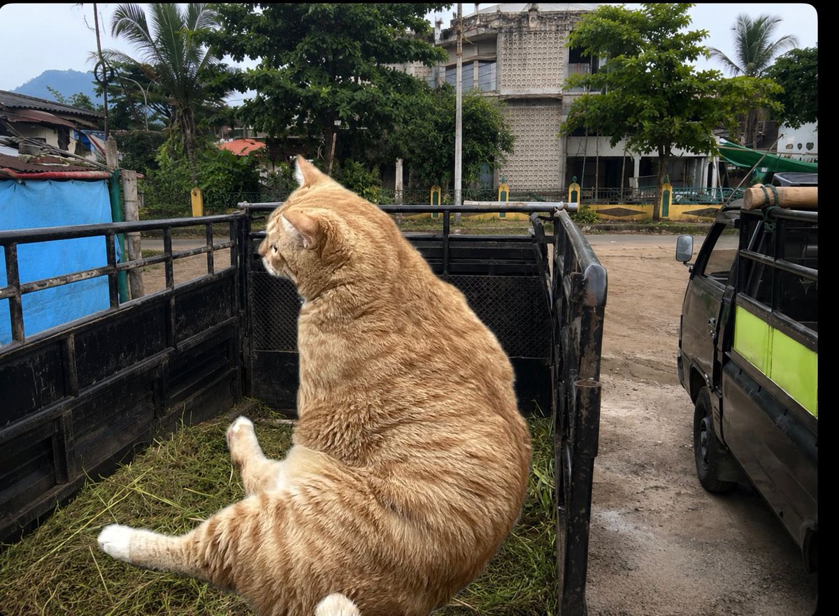 ucildaily's tweet photo. mohon ditungguu, lagi naikin muatan ini https://t.co/HayKblcR89