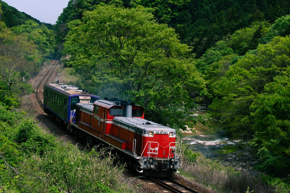 Ryuichi_train's tweet photo. #自分が今まで撮ってきたDD51見せて
まだまだにわかなのでもっと極めていきたいです💪 https://t.co/xkNY6RSYc8