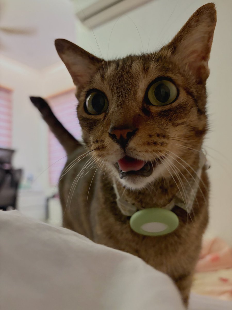 wyocaVT's tweet photo. SHE SAYS GOOD MORNING‼️🌞 https://t.co/qqWNsVgP4T