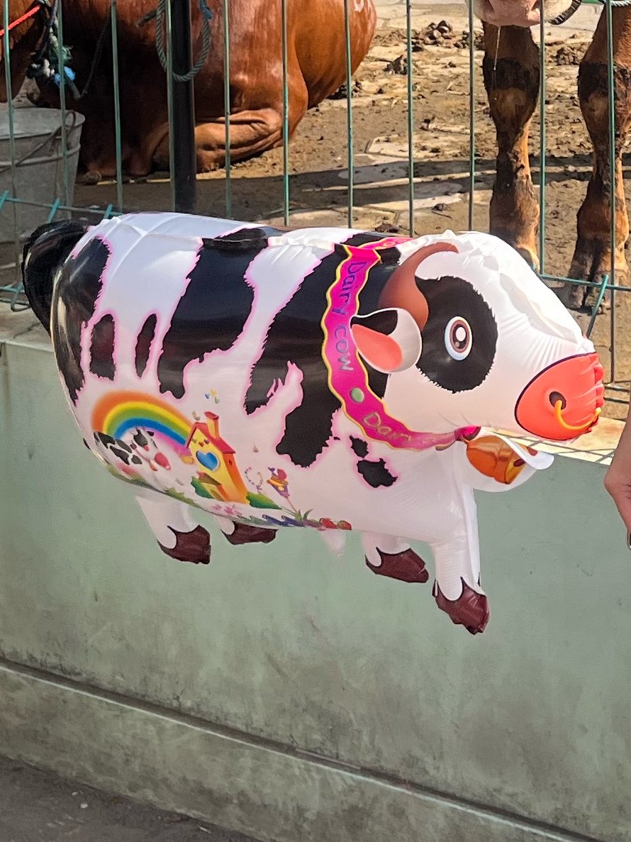 reyhan_viandra's tweet photo. qurban hewan bukan sekedar menebas hewan lalu bagi" daging nya,
tapi kita juga belajar buat melepas apa yang selalu kita genggam selama ini. 

-capi kulban https://t.co/PhgeUPK5gy