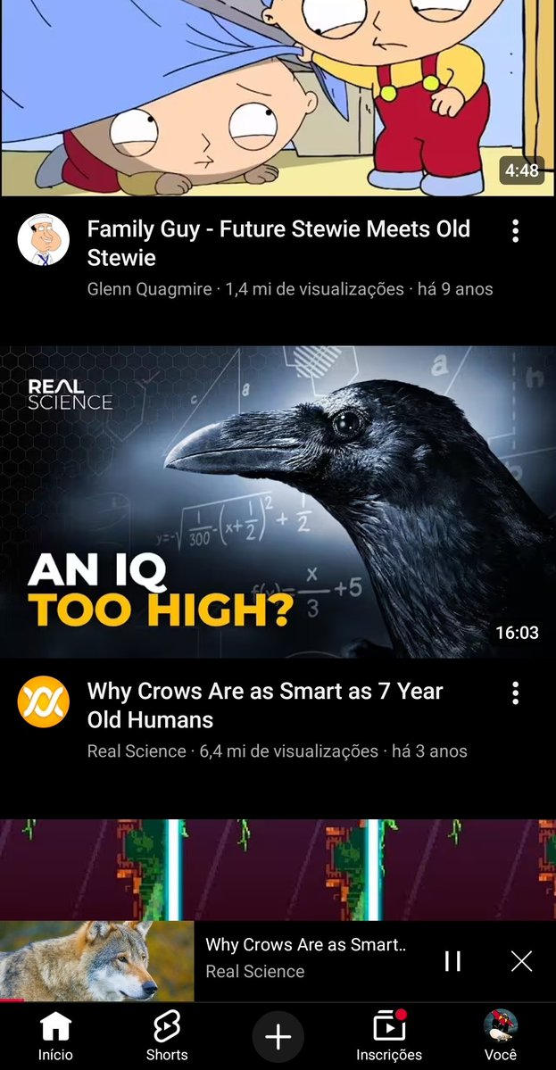Guiozy tweet media
