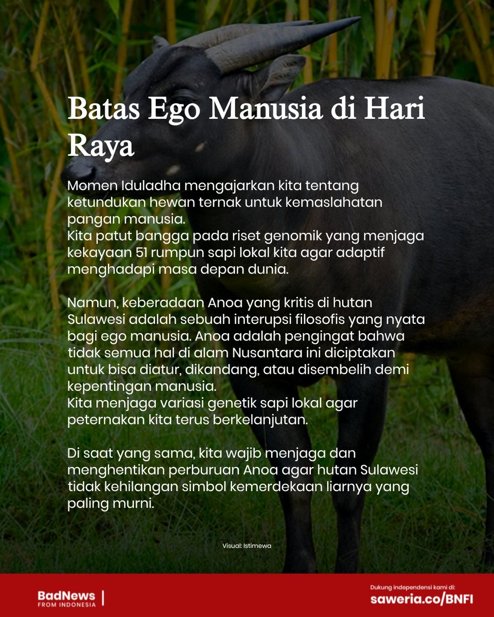 Bad News From Indonesia tweet media