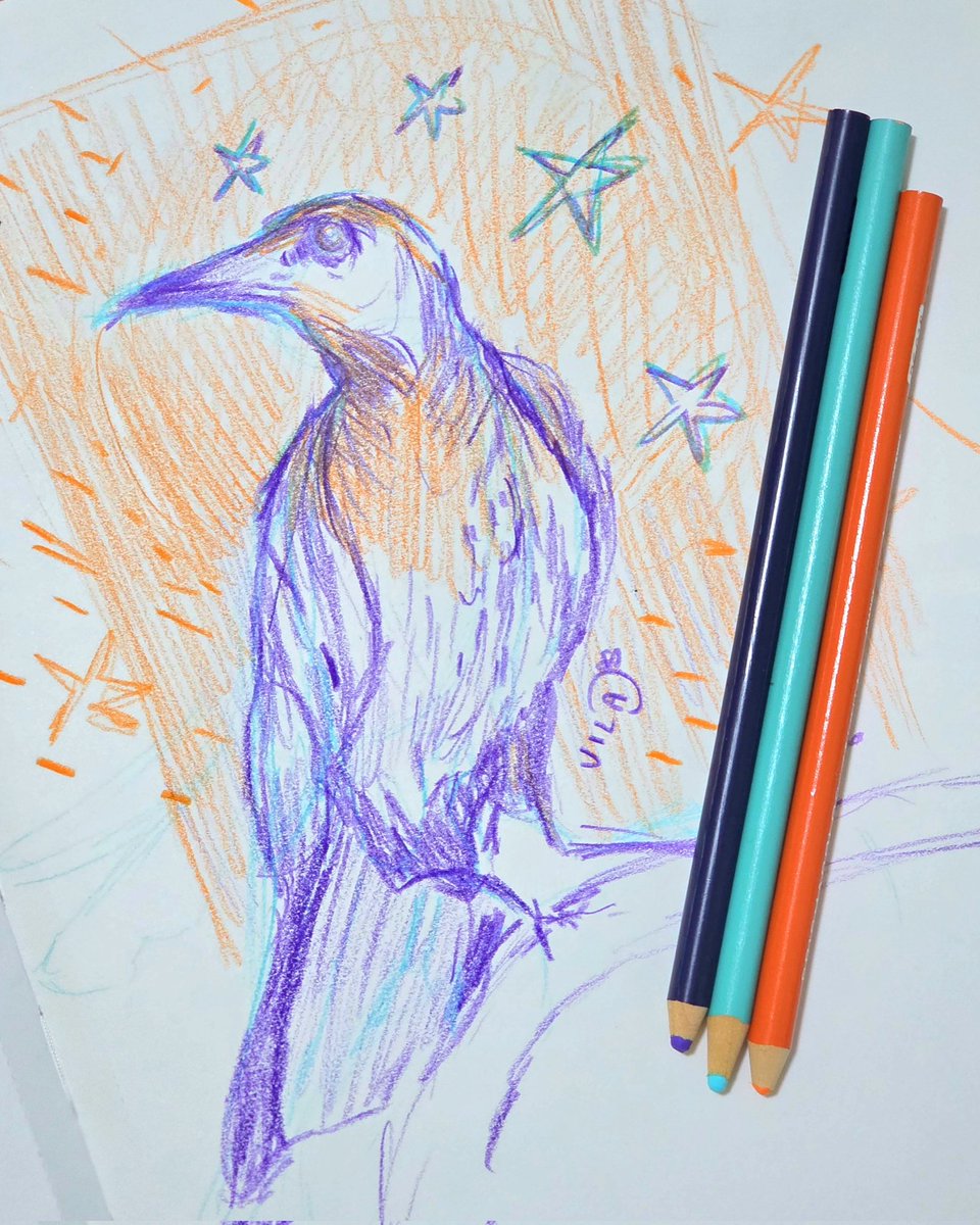 vilalyra's tweet photo. Bird sketching 🐦‍⬛🐦‍⬛
Love u color pencils 🫶

#traditionalart https://t.co/pO3f3k2HLo