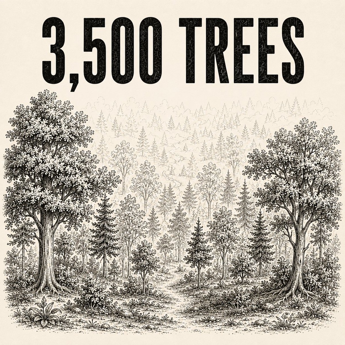 PlaySproutGame's tweet photo. 3,500 real trees in the ground. Funded entirely by players.

Grove milestone (2,500) is in the rearview. Forest (5,000) is the next horizon.

Every player who helped get us here is on the list for something Grove Founders will hold forever.

Heads down. Details soon.🌿 https://t.co/987bl2biBA