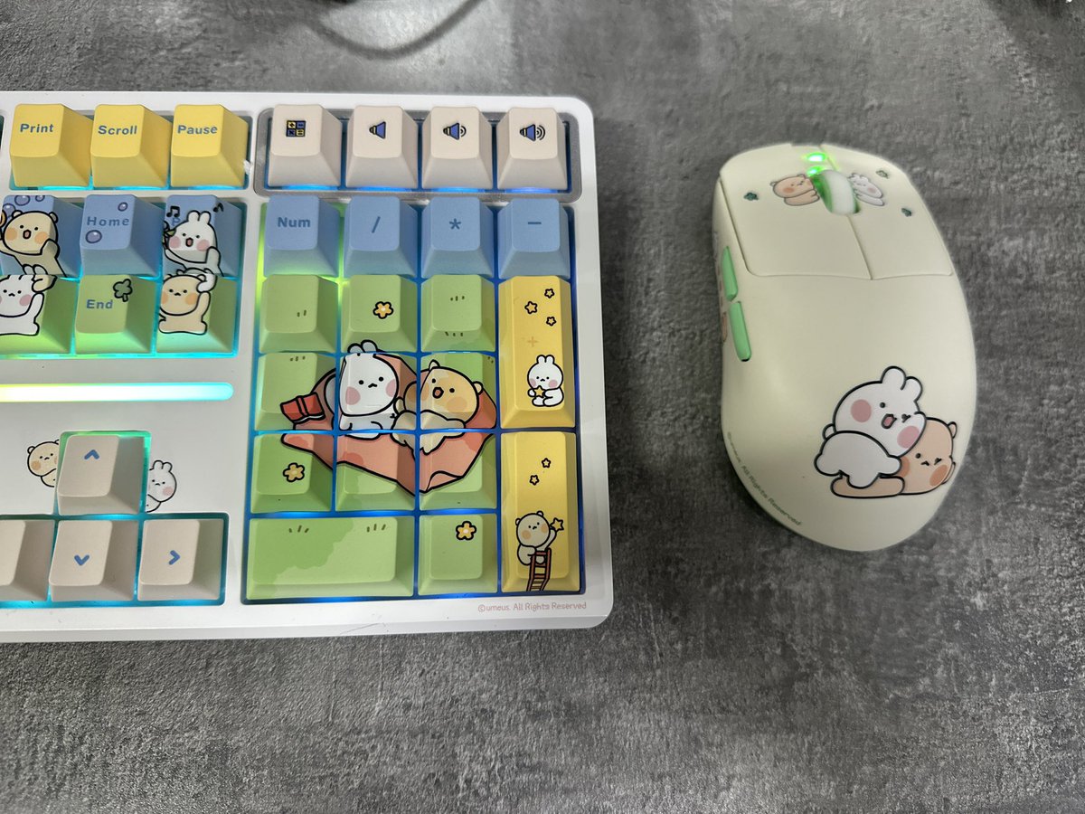 쩨 tweet media