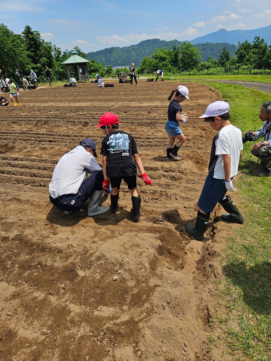 kanko_u's tweet photo. 今日は小学生のみなさんが月岡公園にユリの球根を植えてくれました🌱✨
夏になると、公園いっぱいに色とりどりのユリが咲き誇り、とても綺麗な景色になります🌸🌼
子どもたちが一生懸命植えたユリが咲く日を、今から楽しみにしています😊💐
#月岡公園 #ユリ #花いっぱい #夏の風景 https://t.co/8qxzvbsEcD