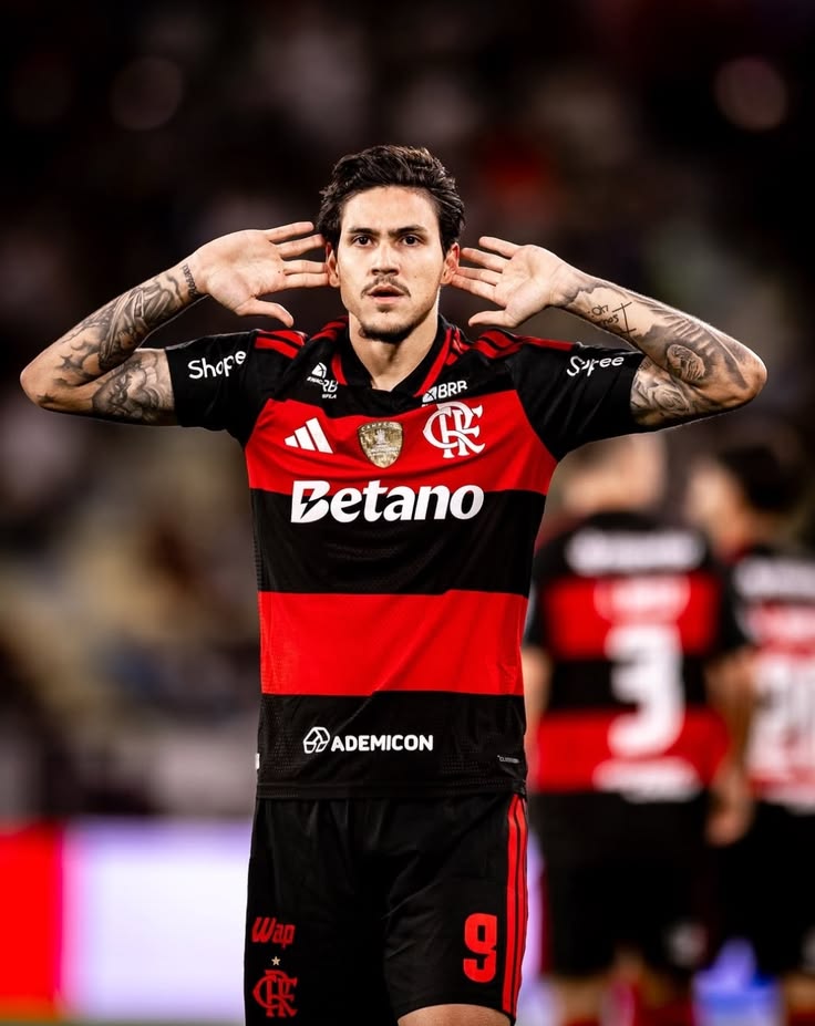 nardoanalises's tweet photo. pedro guilherme abreu dos santos.

> nunca decidiu NADA pelo flamengo
> infla gols no campeonato carioca
> some em jogos importantes
> fez birra com o filipe luís
> perde gol e nunca é cobrado

minha paciência com ele acabou, precisamos de um 9 decisivo igual era o gabigol. https://t.co/iYpYoiSjYf