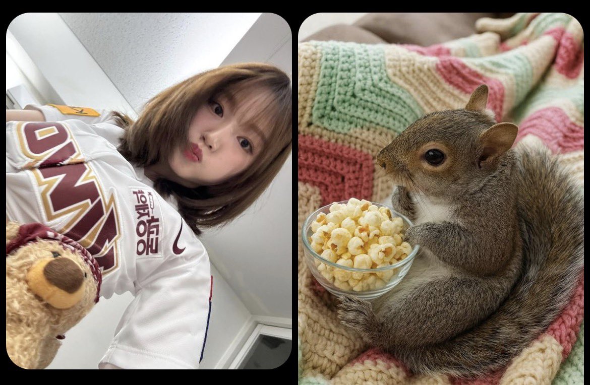 tweak4eva's tweet photo. everytime i open pinterest there is Squirrelwon https://t.co/0MavkxgexG