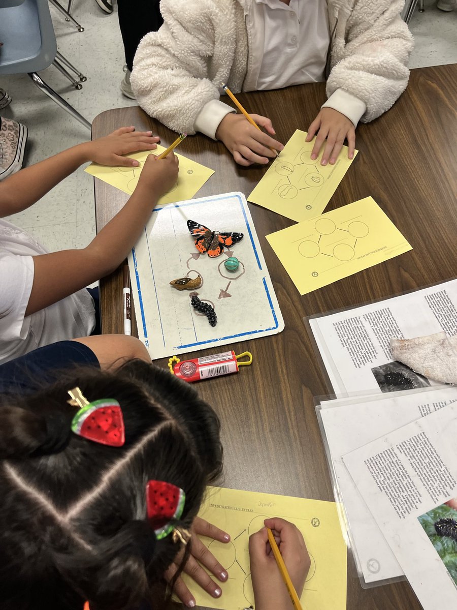 MrsNVasquez's tweet photo. A huge thank you to the Texas Wildlife Association for visiting us @KennedyCougs and bringing such a fun and dynamic activity to help our students learn about life cycles! They were engaged, curious, and excited to explore science in a hands-on way. 🦋🐸🌱 #ScienceInAction https://t.co/zMGCrlPsDC