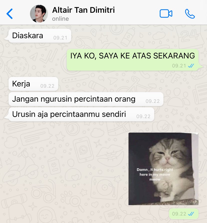 din. tweet media
