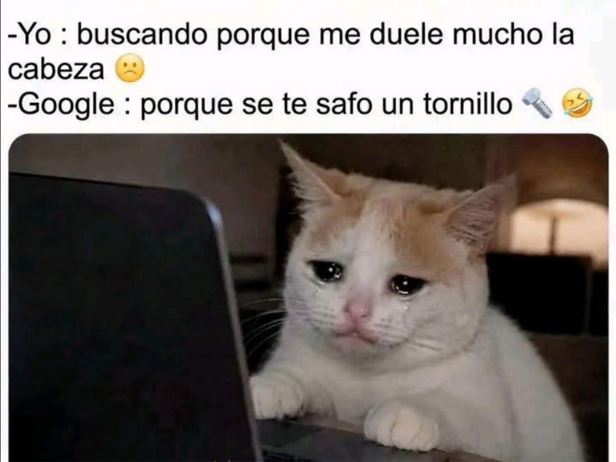 TuziPopMemes🤪😂🤣 tweet media