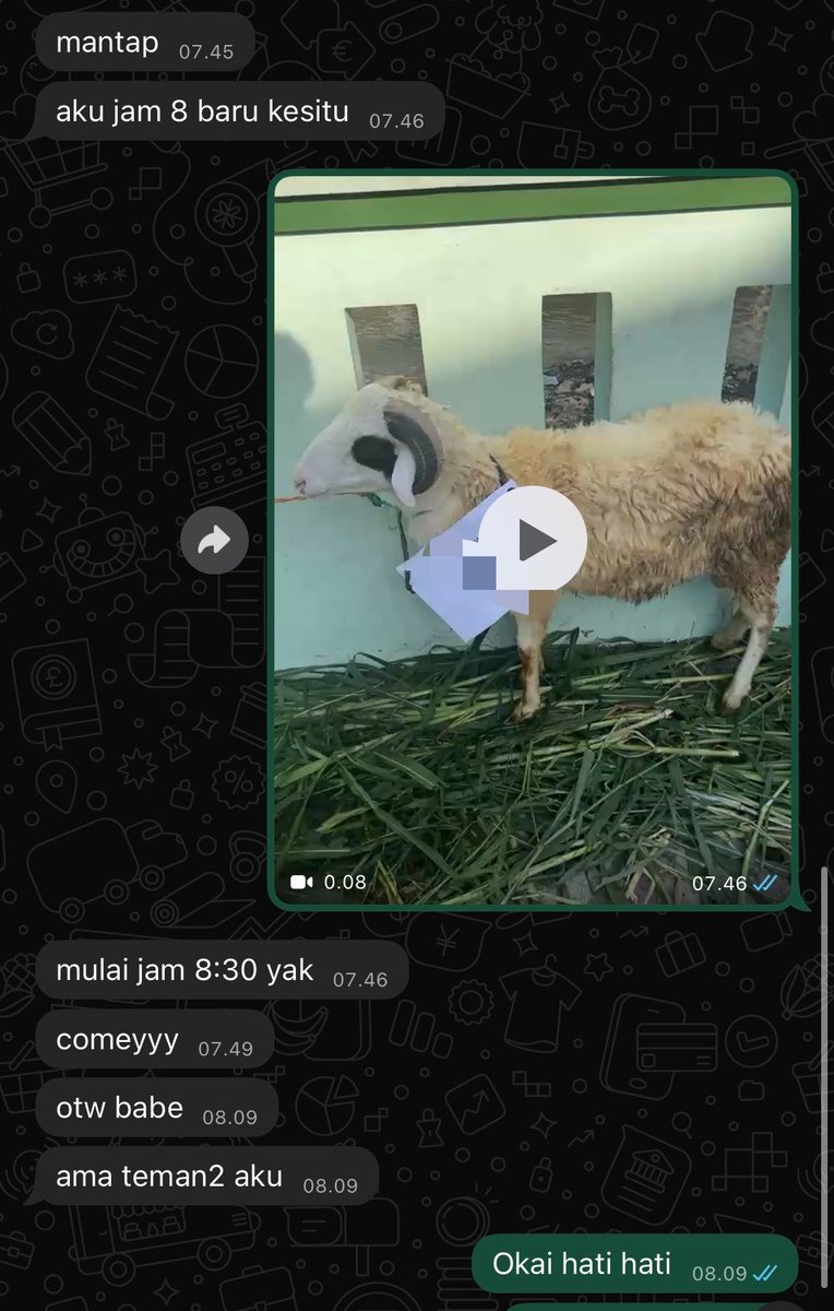 Miawsturbate's tweet photo. Dipercaya buat salurin qurban dijogja sama customer dari malaysia. 🫶🏻🫶🏻🫶🏻 https://t.co/PKQ1l7gRU9