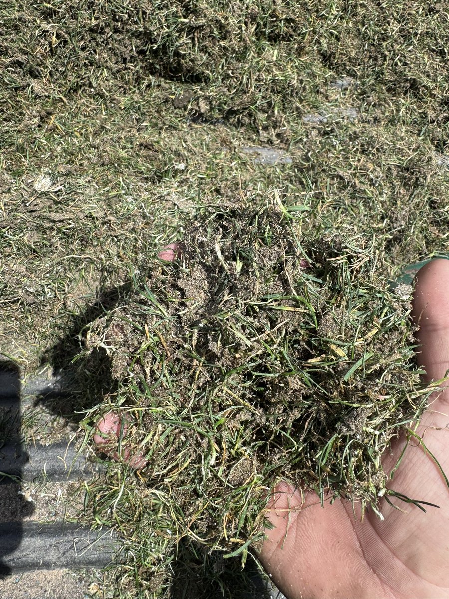 mronTurf's tweet photo. Thanks to @IowaSportsTurf for coming out today and helping us in our midseason field renovation! Took out 30 yards worth of organic material followed behind by seed and topdressing. Nutrients and wetting agent due up next, followed by water and  sunshine to help the recovery! https://t.co/EDnHwFYTOt