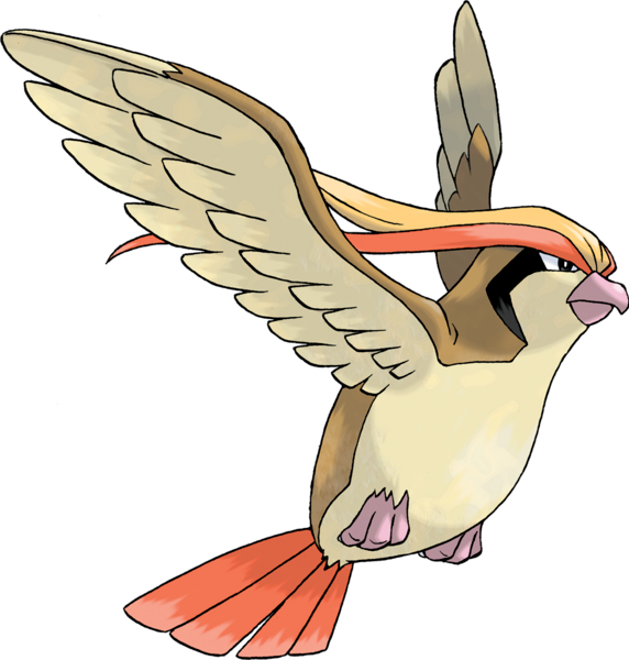 Blacephalussy's tweet photo. Genwunners existing in 2026 is so insane to me because like. On average gen 1 designs are just worse than every other generation. Like fearow is just a sort-of vulture looking bird with a pointy beak. Pidgeot is a vaguely falcon looking bird with hair. Raticate is just a rat. https://t.co/TsBlPKrhKO