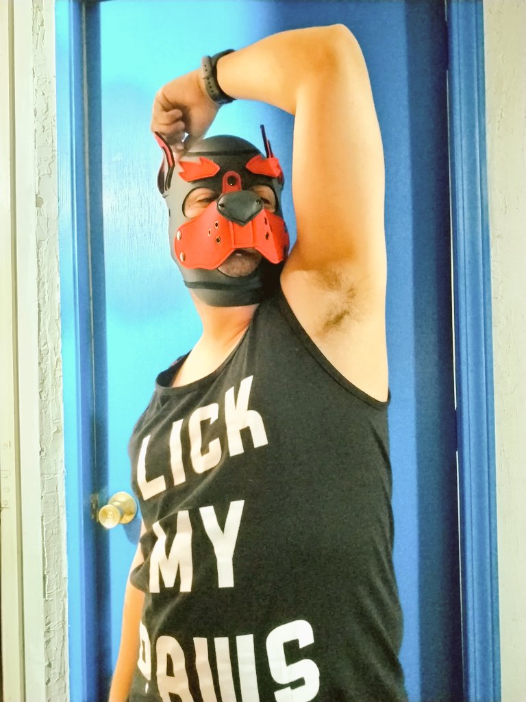 Spiderpuppy 🕸️🐕 tweet media