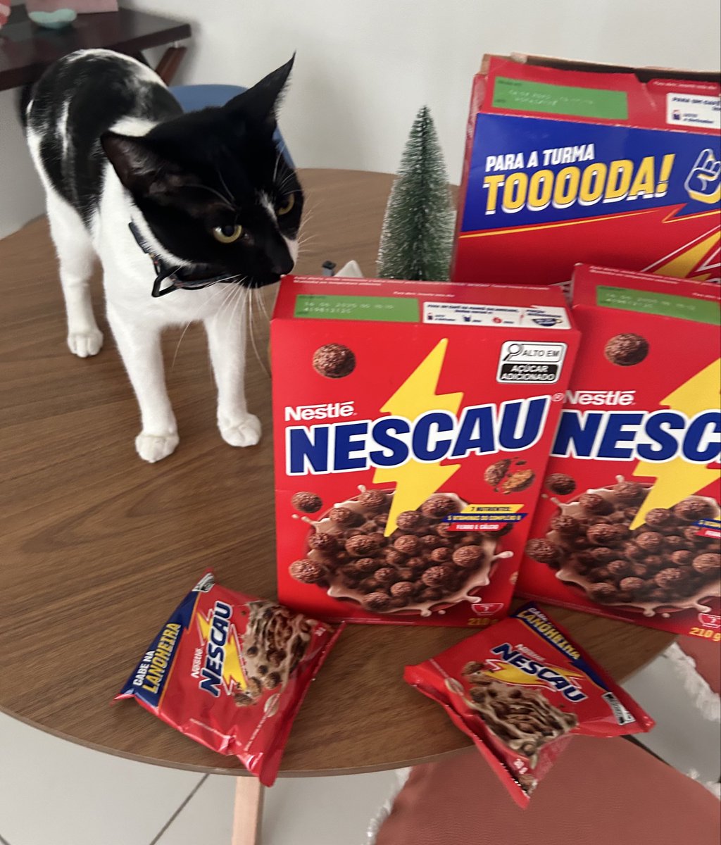 fremitaru's tweet photo. quando duvidam que eu tive hiperfoco alimentar em nescau bolas mas essa é minha galeria https://t.co/aYVLanlqyG