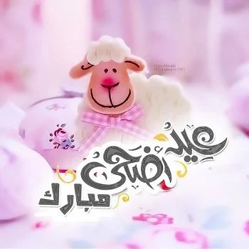🇮🇶meme tweet media