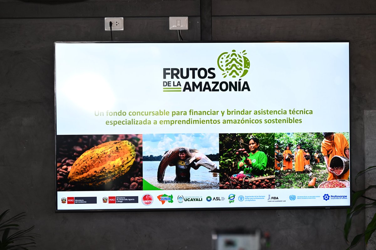 FAOPERU's tweet photo. 🤝 “Frutos de la Amazonía” forma parte del proyecto Bosques Amazónicos ASL2, liderado por el @MinamPeru, financiado por  @theGEF, implementado por @FAO, @FIDA_LAC y #ONUDI, y ejecutado por @profonanpe_peru para impulsar desarrollo sostenible en la Amazonía peruana. 🌿 https://t.co/4G6rfa2N19