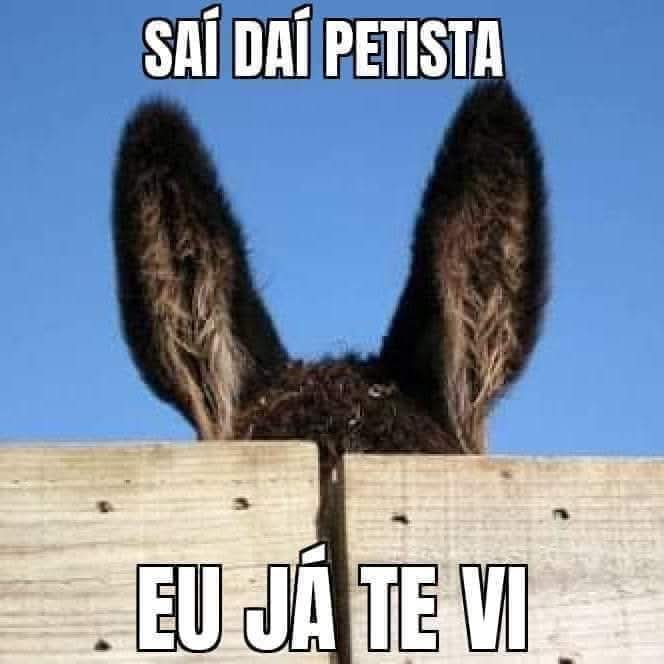 ROSEMARY 🇧🇷🇵🇹🇺🇲🇦🇷 tweet media