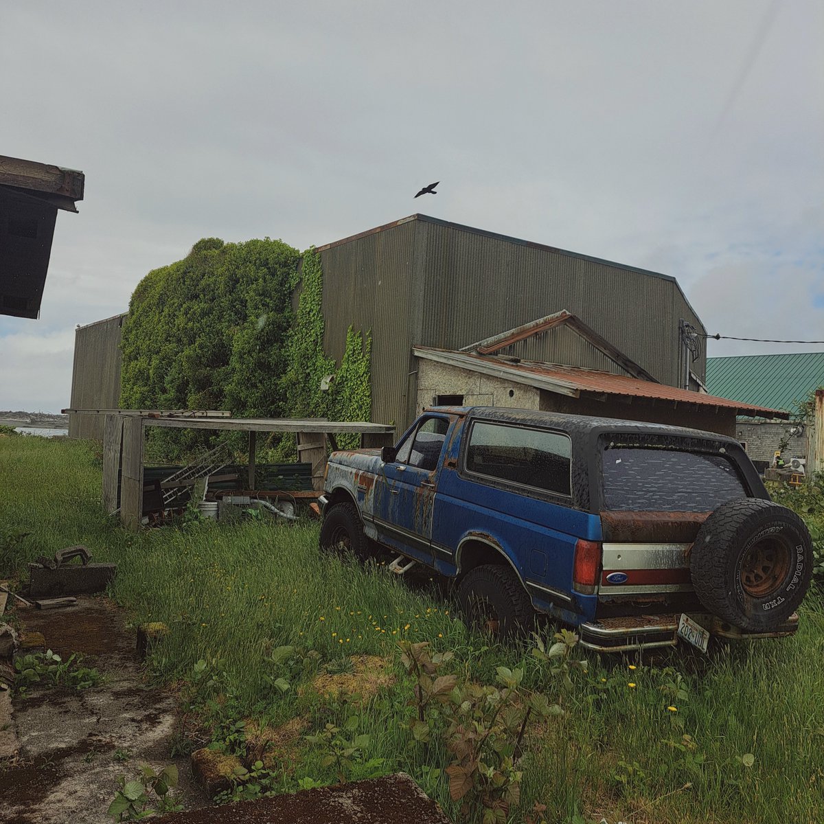 ayi_sanchez's tweet photo. Some more PNW decay https://t.co/V1KoGIPbfz