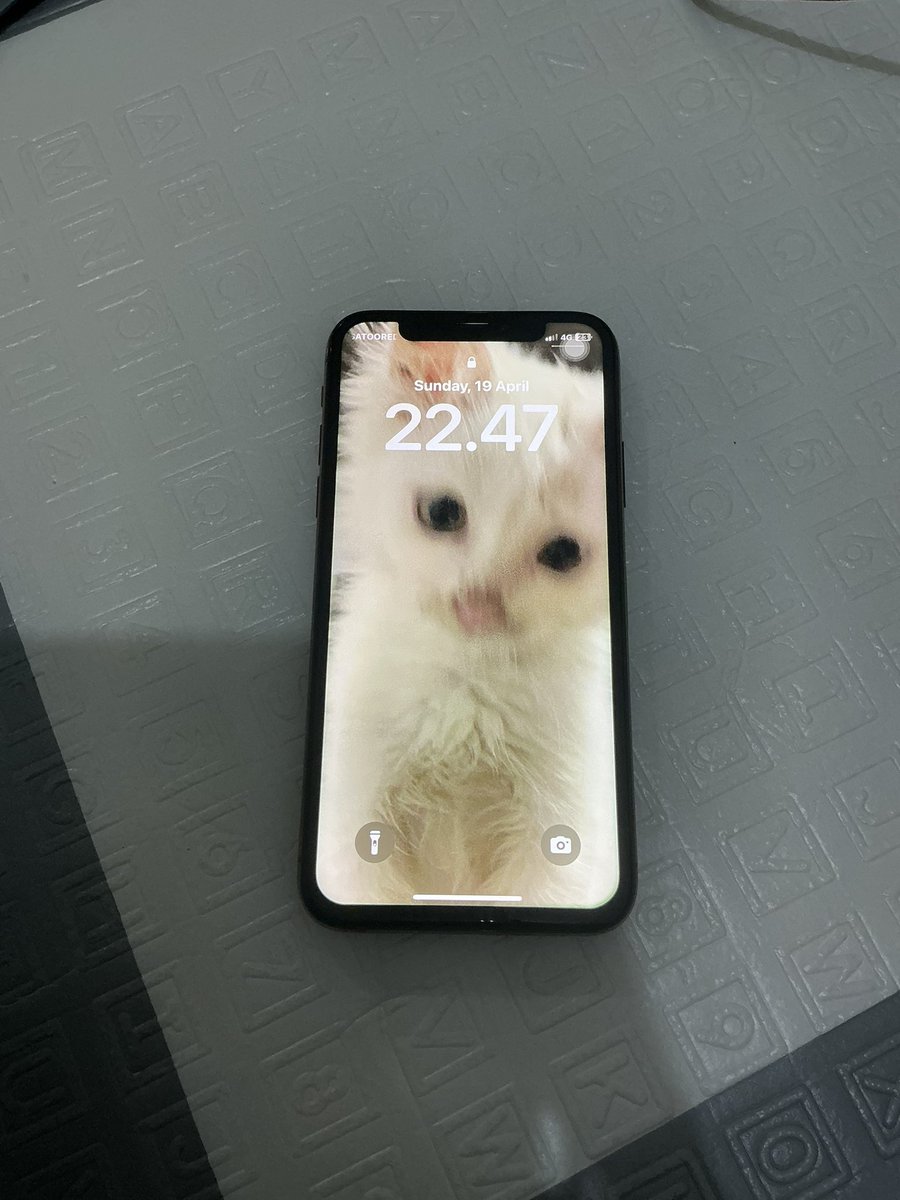 winci🐇 tweet media