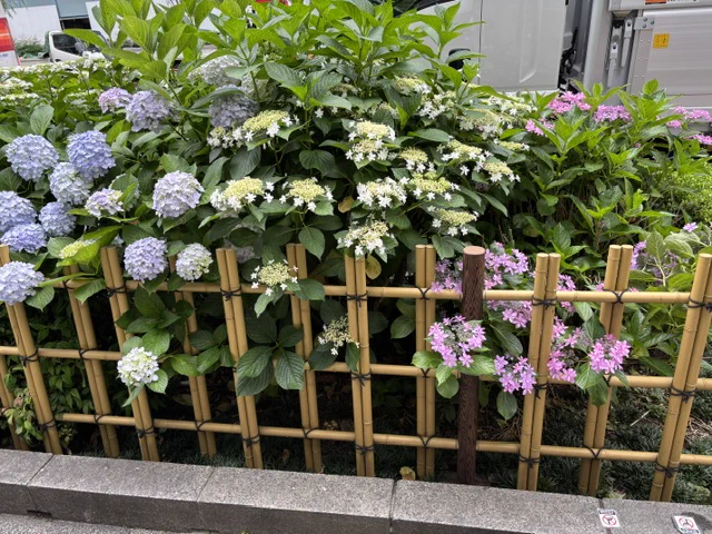 銀座ウエスト on X: 