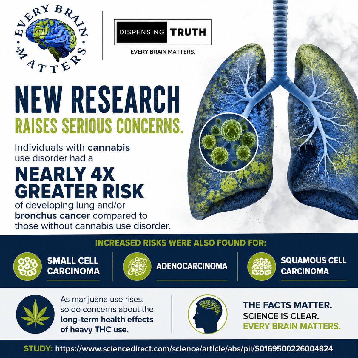 EveryBrainMatt's tweet photo. Study: https://t.co/c3nSn4016y

#THCFacts #LungCancer #CannabisResearch #EveryBrainMatters #DispensingTruth https://t.co/SY03J8LnBu