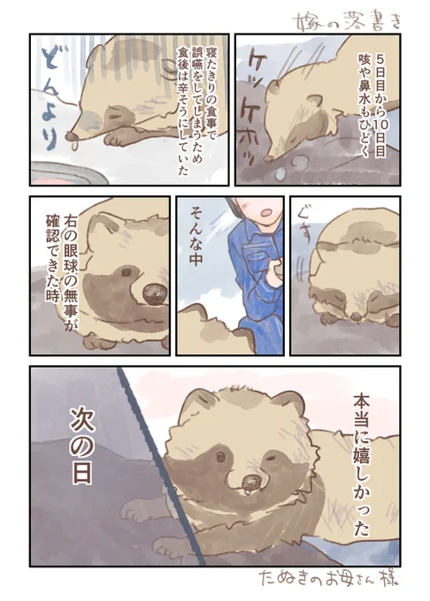 #たぬき

ぽんちゃんのお話 3話 