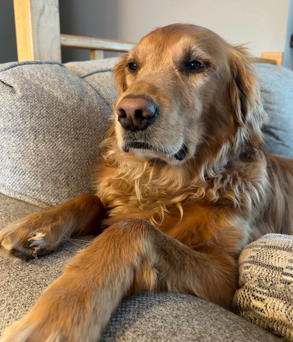 Miss Lexie tweet media