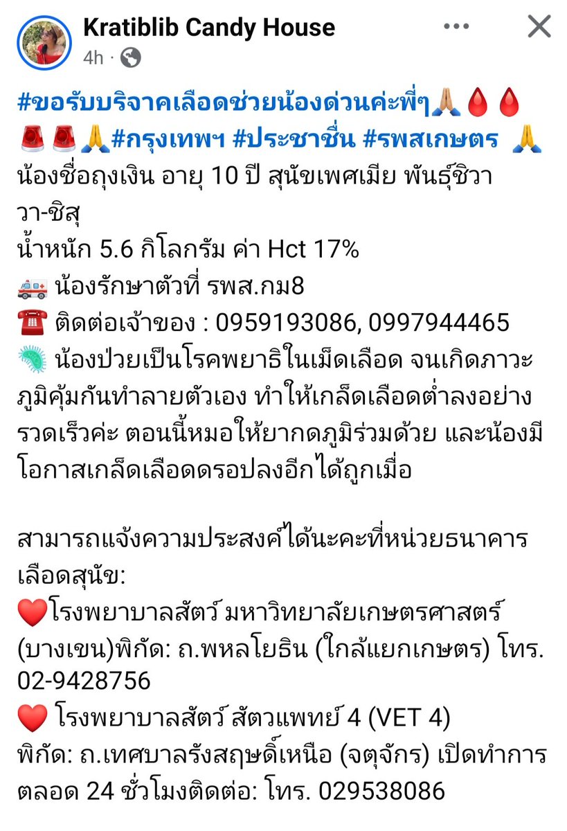 Seoul Cafe 서울 카페 🇰🇷 ติ่งนักเต้น tweet media