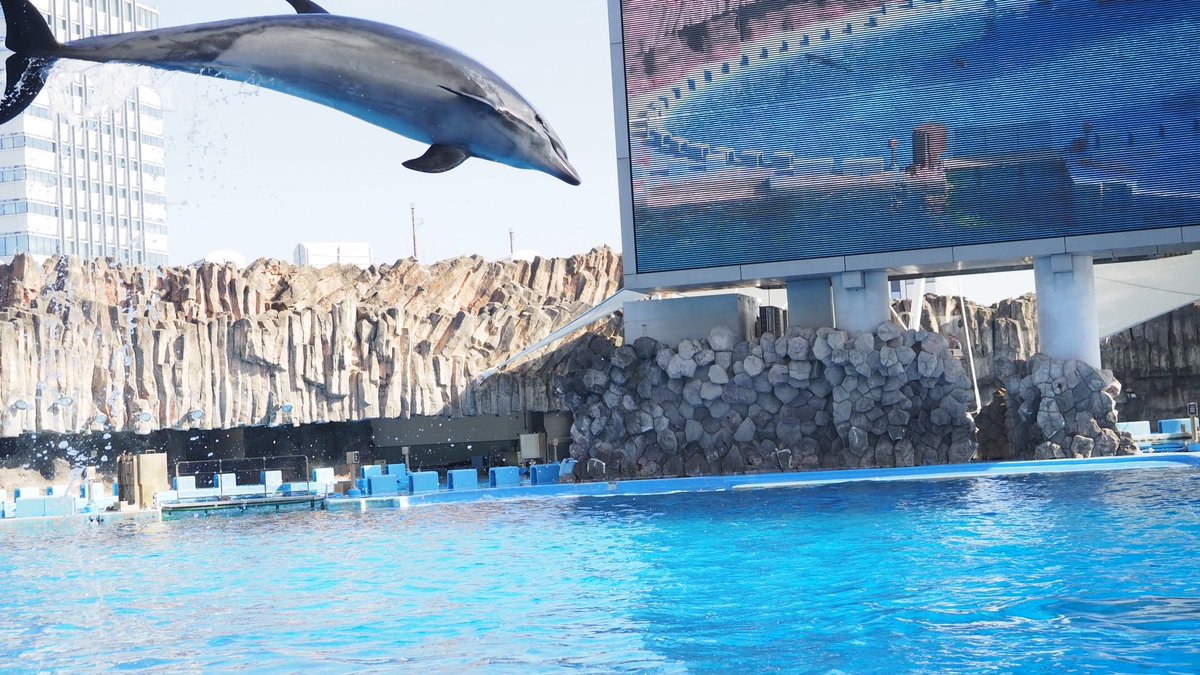 水族館行きたいﾅ……(これはngy)