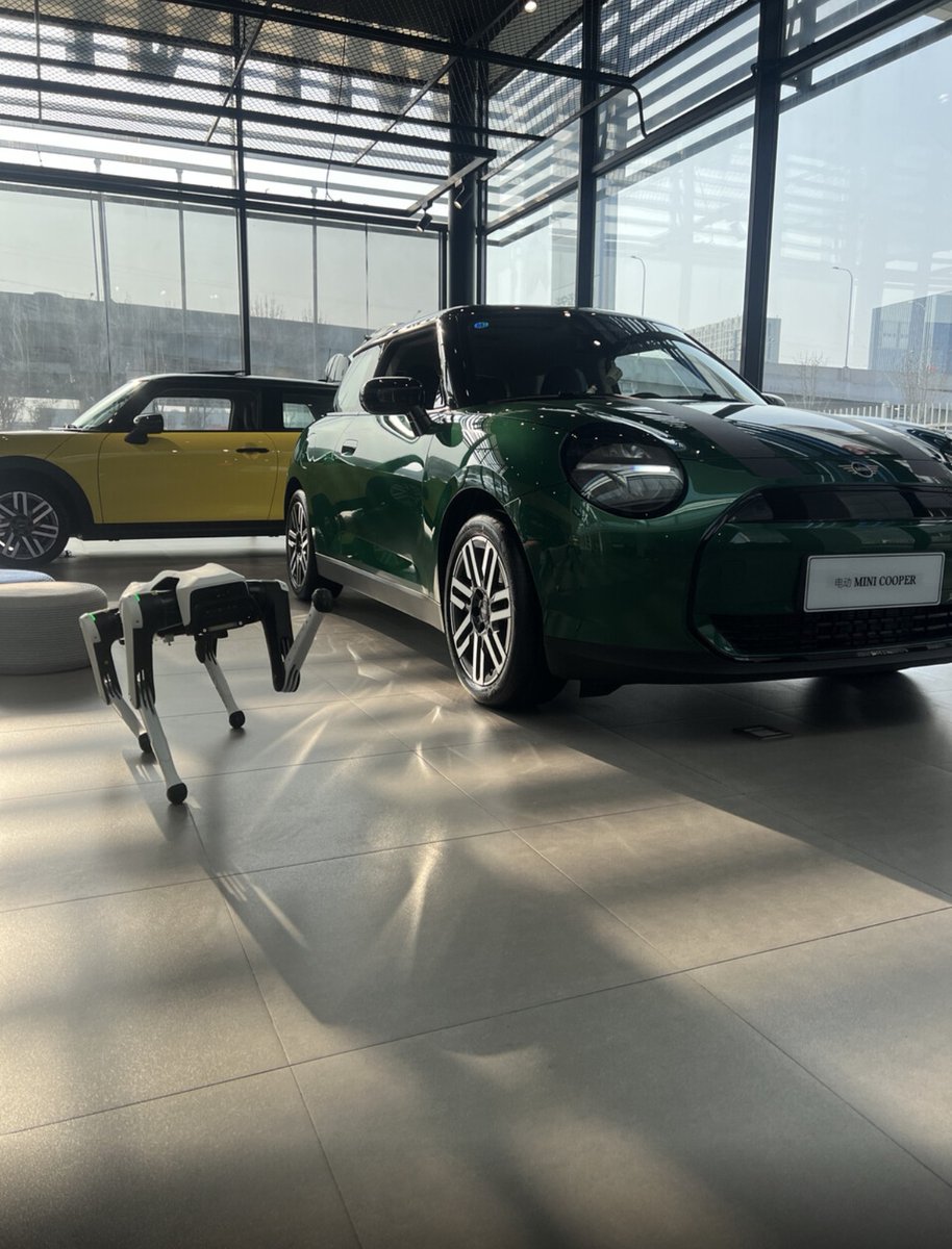INFFNI_'s tweet photo. 😎Helping small business owners with store promotion and attracting more foot traffic is one of our expectations for our product. 
A robot dog🤖 turns far more heads on the street than any flyer or promotional handout currently available — why not let it work for you？ https://t.co/SPurULfXgp