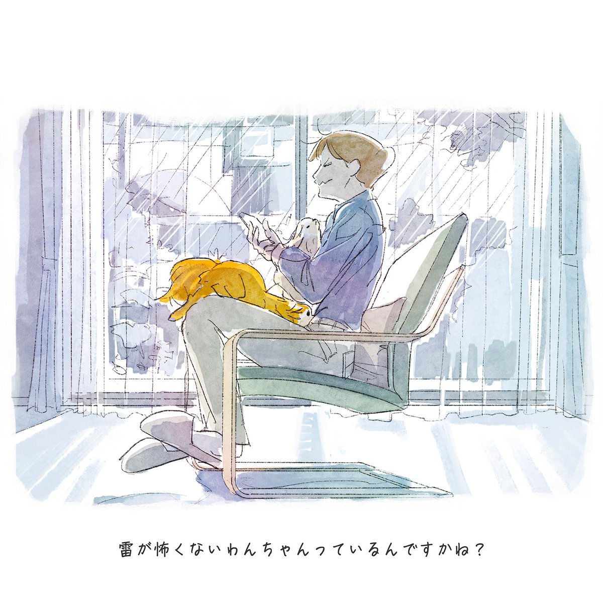DogfamLife's tweet photo. 雷が怖くないわんちゃんっているんですかね？

#dogfam #こめ #むぎ https://t.co/jvCYHxlaAh