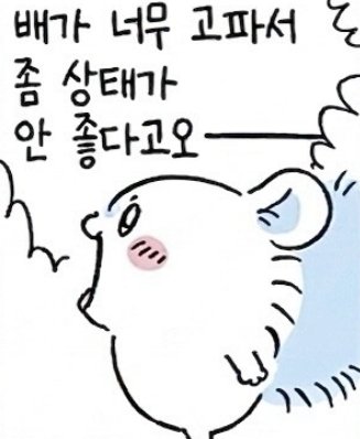 윶삐🐧 tweet media
