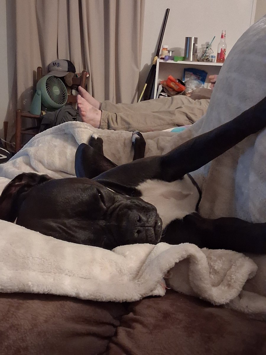 patsyjeanmoore's tweet photo. @PhilSledge SuzyQ approves of this message. https://t.co/YTuw9AMMFt