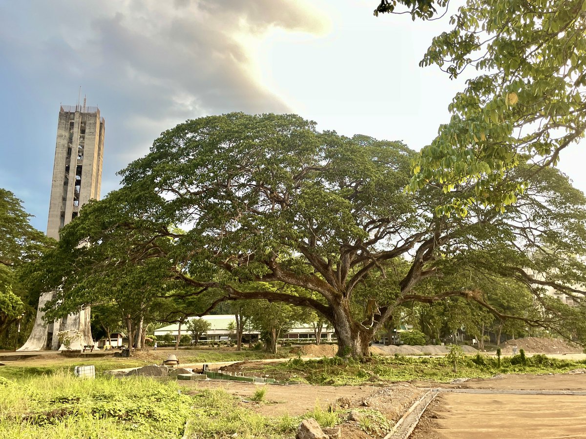 jerardeusebio's tweet photo. And just in case anyone missed this view of the Fertility Tree 🌳 https://t.co/WztKa04sw5