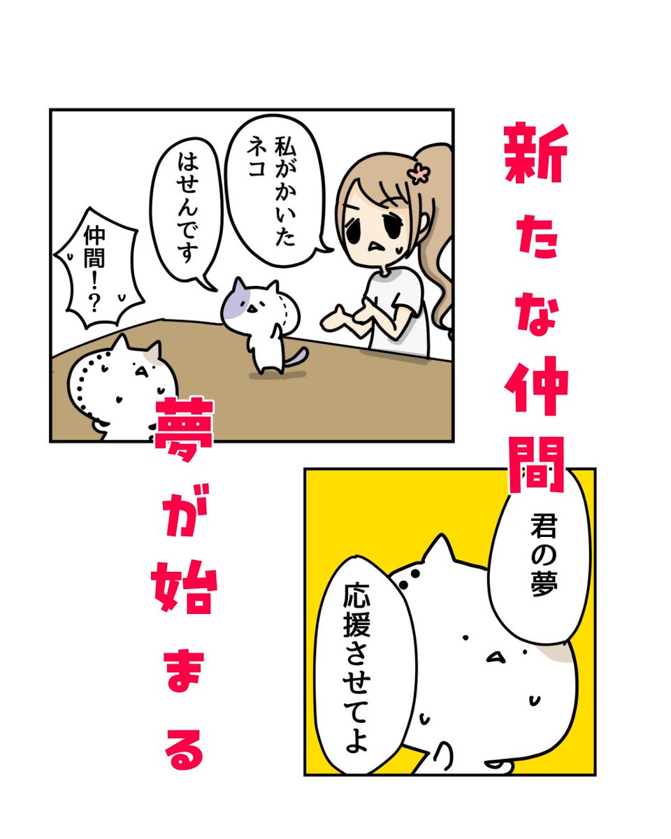 この顔で、人気キャラクターになれるのか(0/1) 