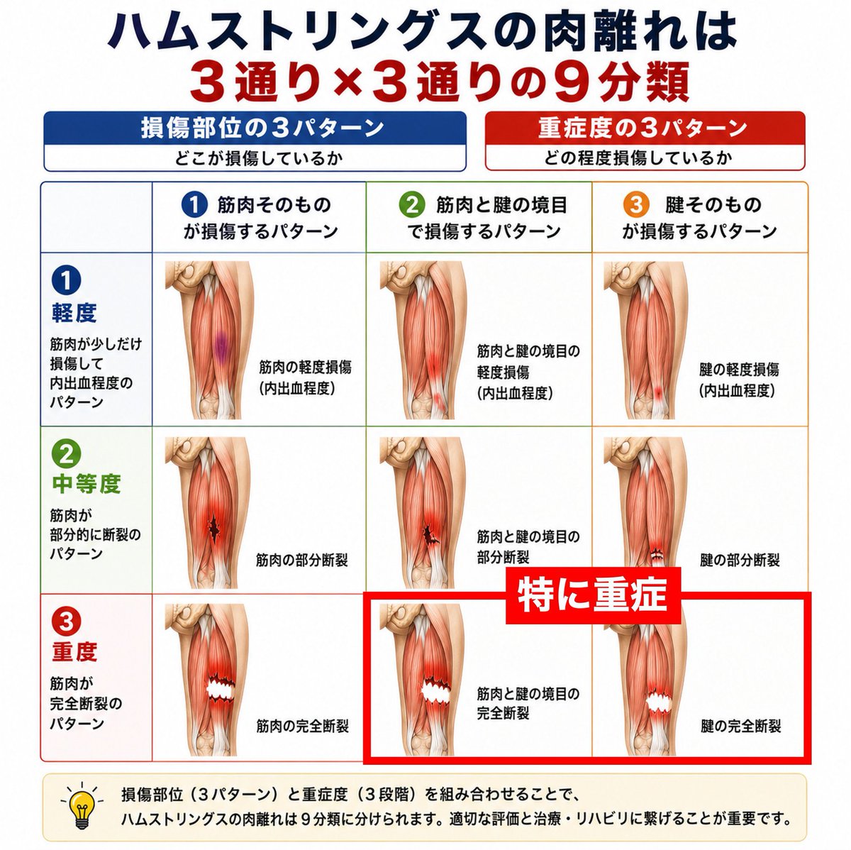 面谷透 スポーツ整形外科医 tweet media