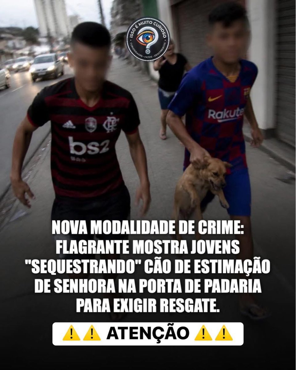 paulazanelli's tweet photo. ⚠️⚠️  ATENÇÃO ⚠️⚠️ 

A audácia e a falta de caráter dos criminosos estão passando de todos os limites. O crime, que foi registrado por um pedestre, mostra o exato momento em que dois jovens arrancam o cachorro de estimação das mãos de uma idosa de 72 anos, na porta de uma padaria no bairro. 

A tutora, desesperada, tentou segurar seu companheiro, mas foi empurrada e caiu. 

Segundo informações, poucas horas depois, a família começou a receber mensagens exigindo dinheiro para devolver o animal, ameaçando matá-lo caso a polícia fosse acionada. 

É o ápice da decadência moral tirar o único consolo de uma pessoa idosa para extorquir dinheiro. 

Onde estão os valores dessa juventude? O amor e o laço afetivo são tratados como mercadoria por essa "geração perdida". Não temos mais paz nem para sair na rua com nossos pets. 

A covardia desse ato é revoltante e exige uma resposta rápida das autoridades.