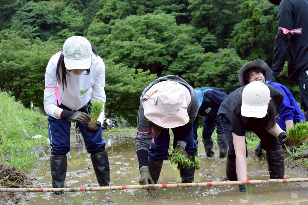 tanada_tu's tweet photo. みなさんこんにちは✨️
今回は5/23〜5/24で田植えを行いました！
常葉大学の畑に手作業で苗を植えました！田植えの作業だけではなく作業で使うものを洗ったりする裏方もバッチリこなしました😆
#石部棚田 https://t.co/PELIrgustX