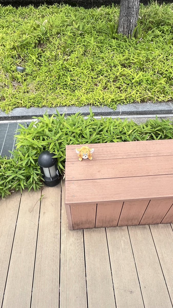 nogiyuto0925's tweet photo. 落とし物かな、ちゃんと座っててえらいね🥺 https://t.co/TQpzxP7tXc