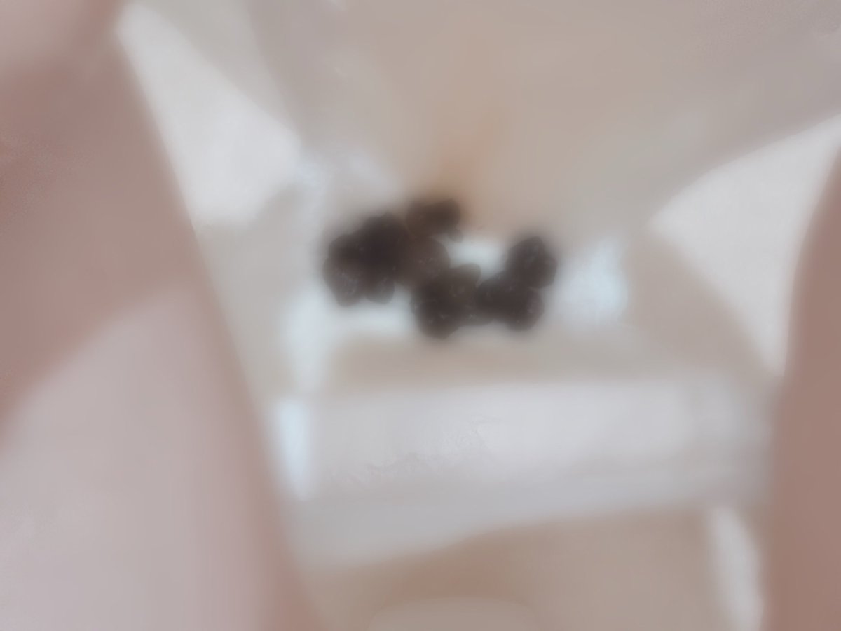 ˚ʚいちごちゃんɞ˚ tweet media