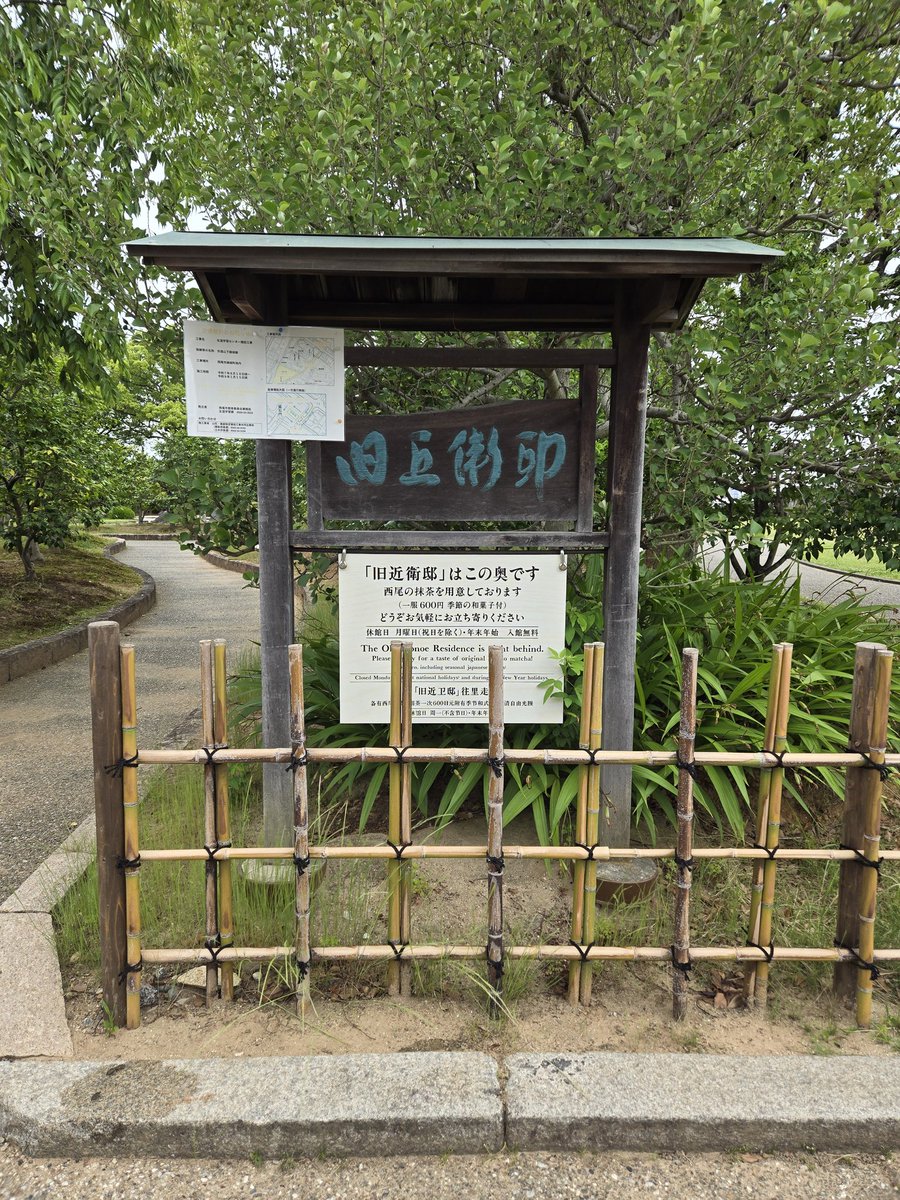ライチ tweet media