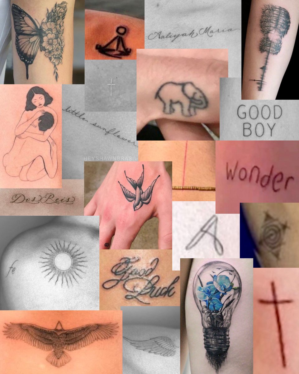 HeyShawnBRA's tweet photo. Shawn Mendes agora possui um total de 23 tatuagens. Qual é a menos pior? https://t.co/7pkFe6F53O