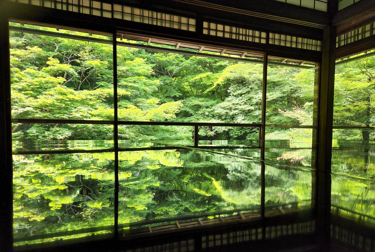 jun122922210's tweet photo. 京都うろうろお散歩
瑠璃光院
青もみじを堪能してきたよ https://t.co/N0CuSSEaSv
