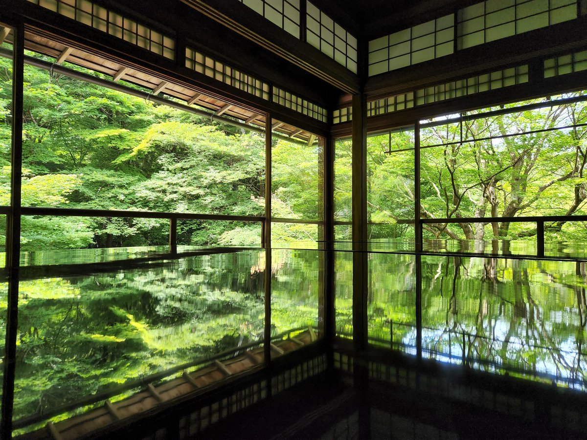 jun122922210's tweet photo. 京都うろうろお散歩
瑠璃光院
青もみじを堪能してきたよ https://t.co/N0CuSSEaSv